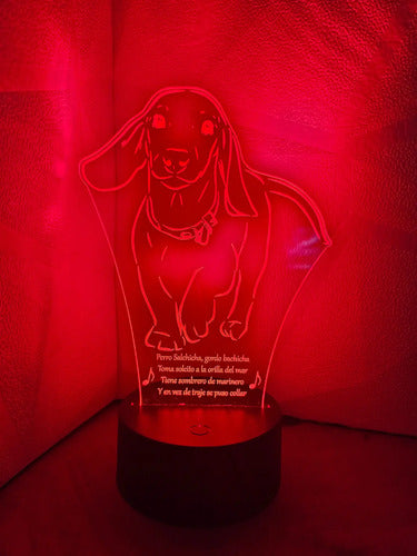 Perro Salchicha Gordo Bachicha Lampara Led Decoración