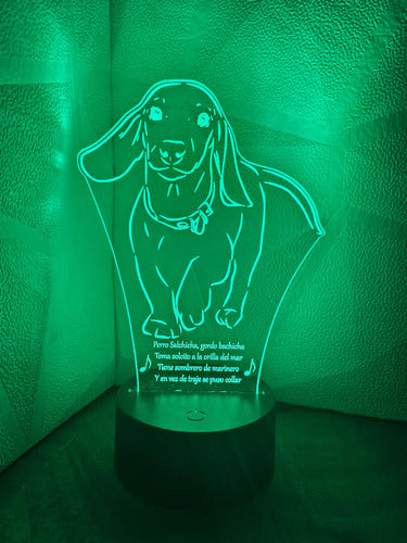 Perro Salchicha Gordo Bachicha Lampara Led Decoración